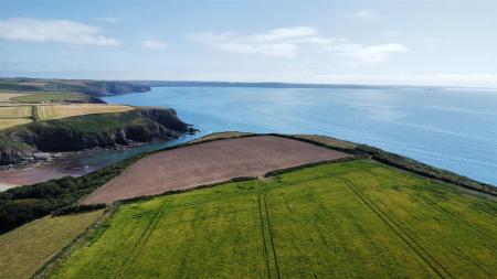 dji_fly_20250709_155636_357_1752073076539_photo_optimized.jpg