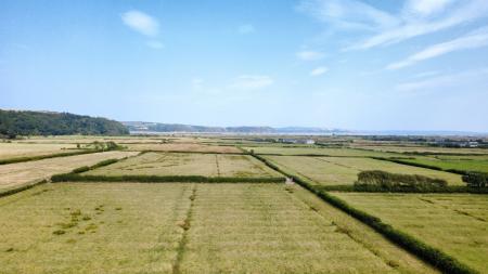 THE LAND 4