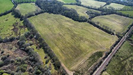 dji_fly_20250411_135502_173_1744376276006_photo_op