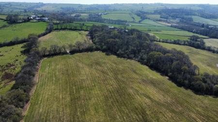 dji_fly_20250411_135406_169_1744376122520_photo_op