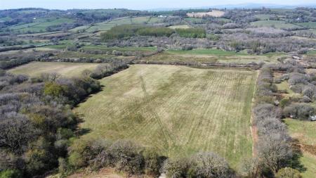 dji_fly_20250411_135328_167_1744376137754_photo_op