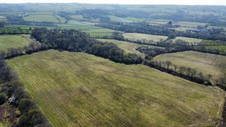 dji_fly_20250411_135422_170_1744376086638_photo_op