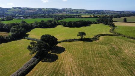 dji_fly_20250710_095940_144_1752138005791_photo_op