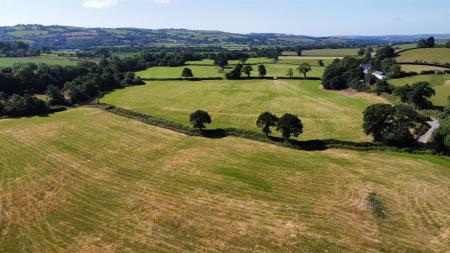 dji_fly_20250710_100124_149_1752138113496_photo_op