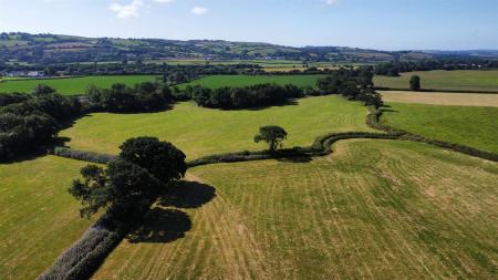 dji_fly_20250710_095920_141_1752137999750_photo_op