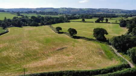 dji_fly_20250710_100148_151_1752138127486_photo_op