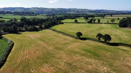 dji_fly_20250710_100126_150_1752138105504_photo_op