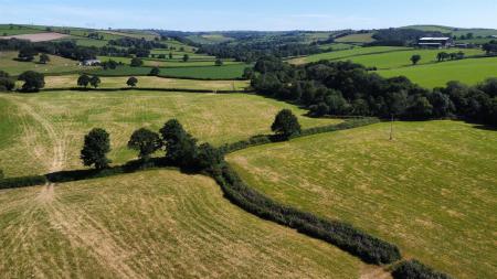 dji_fly_20250710_095954_145_1752138093812_photo_op