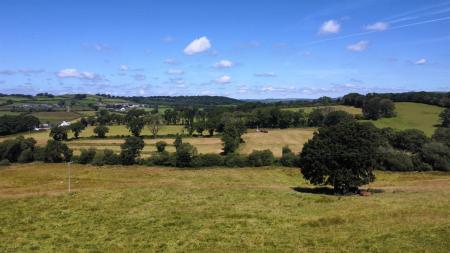 dji_fly_20250710_114410_155_1752144275259_photo_op