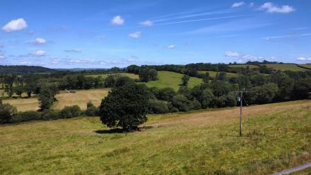 dji_fly_20250710_114414_156_1752144265728_photo_op