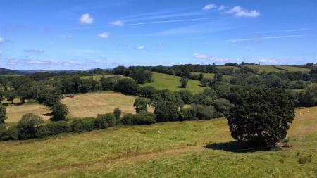 dji_fly_20250710_114424_157_1752144303122_photo_op