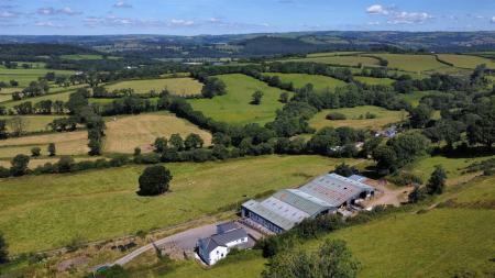 dji_fly_20250710_114700_170_1752144435718_photo_op