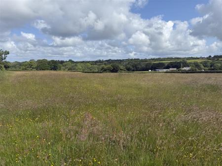 LAND AT CASTLE MEADOW 2.jpg