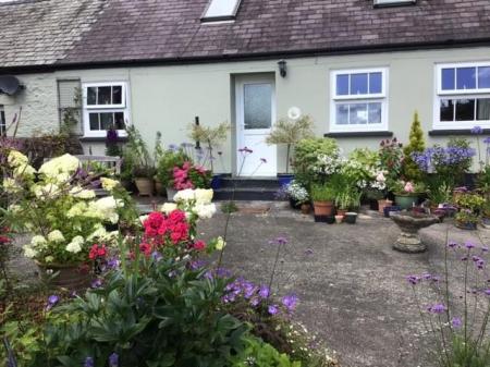 Cottage Accommodation