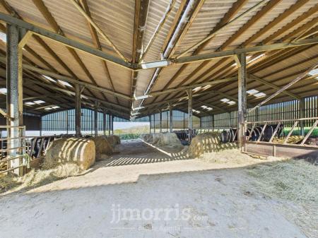 Livestock Housing