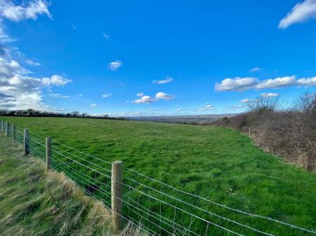 The Land