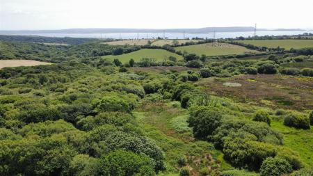 dji_fly_20250523_132504_34_1748003571637_photo_optimized.jpg