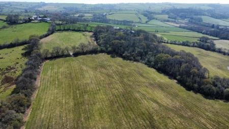dji_fly_20250411_135400_168_1744376132245_photo_optimized.jpg