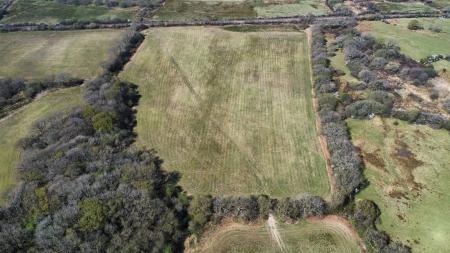 dji_fly_20250411_135600_177_1744376280373_photo_optimized.jpg