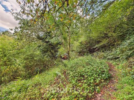 CAM02878G0-PR0076-STILL022.jpg