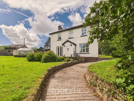 56