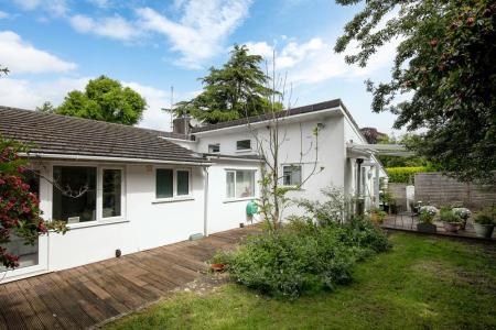 7a The Avenue-14 EDIT.jpg