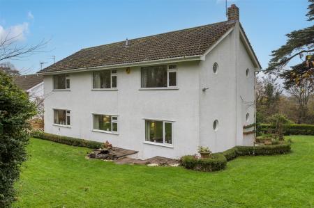 The Cedars-15_EDIT.jpg