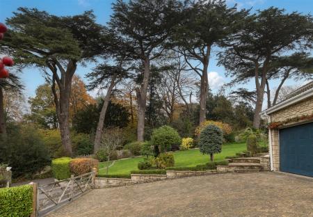 The Cedars-7_EDIT.jpg