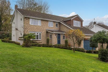 The Cedars-1_EDIT.jpg