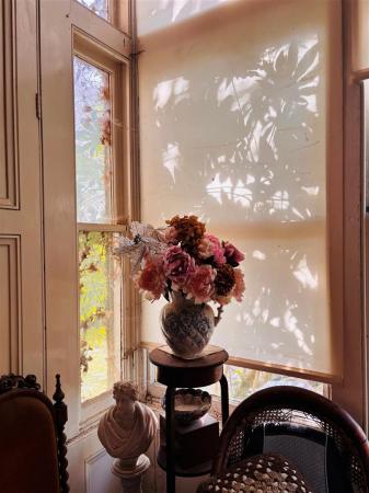 Flowers.jpg