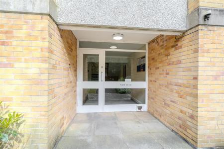 WL209891.jpg