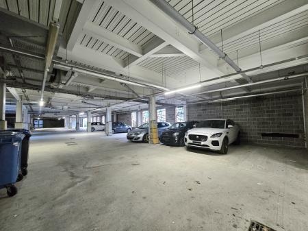 cameronian.jpg 6.jpg