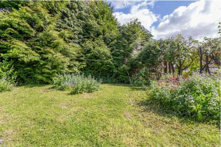 77 Albert Rd South9.jpg