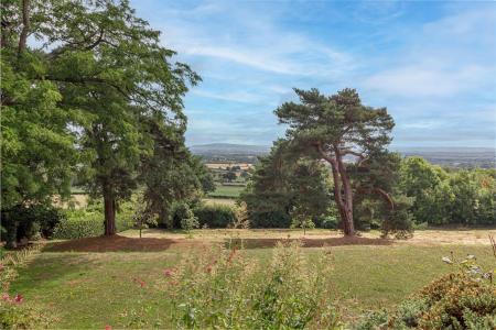 Garden-7.jpg