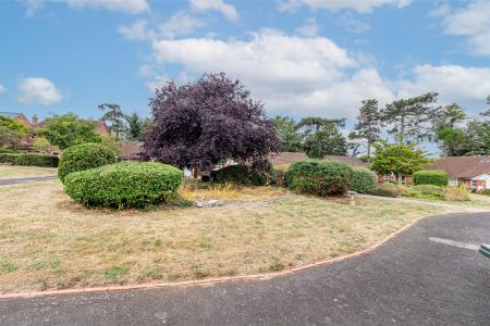Garden-2.jpg