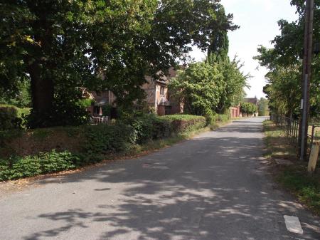 DSCF6485.JPG