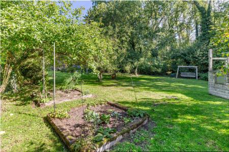 Garden-3.jpg