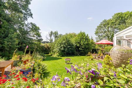 garden-7.jpg