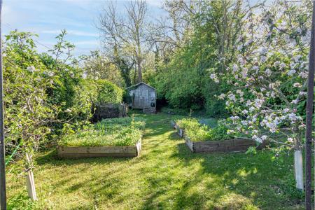 Garden-8.jpg