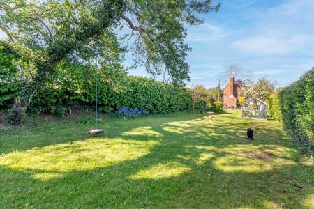 Garden-7.jpg