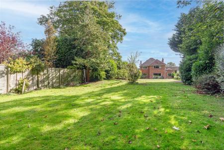 Garden-8.jpg