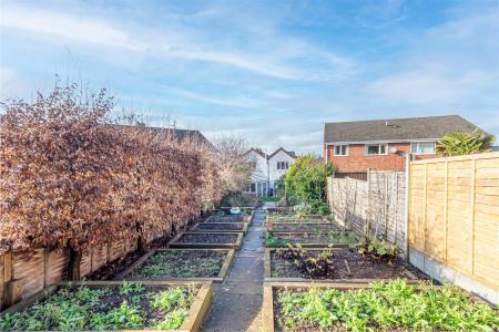 Garden-4.jpg