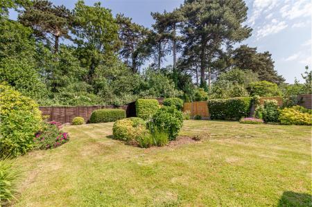 Garden-3.jpg