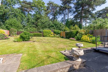 Garden-2.jpg