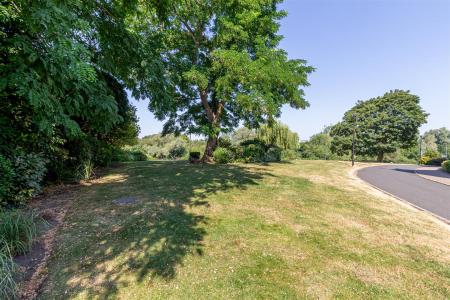 Garden-1.jpg