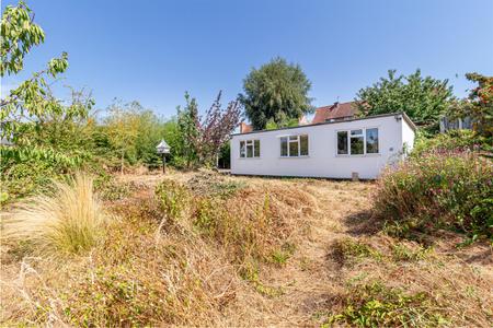 Garden-3.jpg