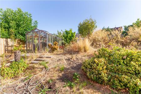 Garden-new-2.jpg