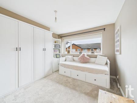 Photograph 5