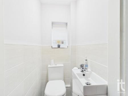 Photograph 7