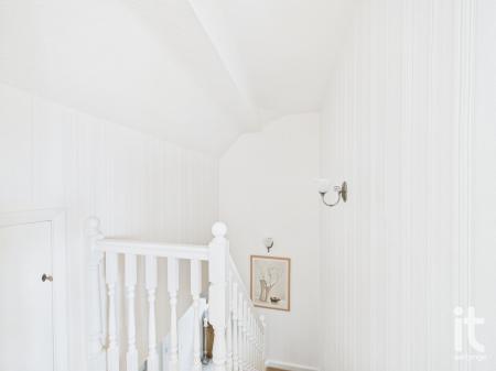 Photograph 19